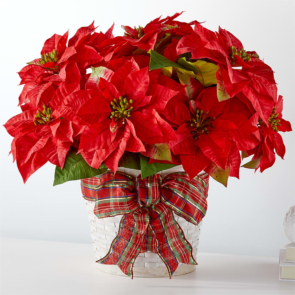 Happiest Holidays Poinsettia – Floral Boutique, Lynnfield MA