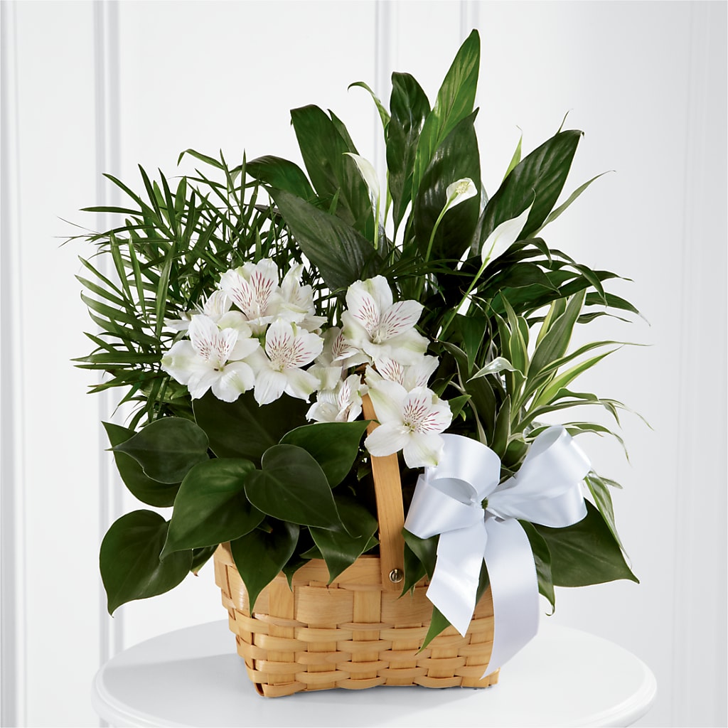 Peace & Serenity Dishgarden – Floral Boutique, Lynnfield MA