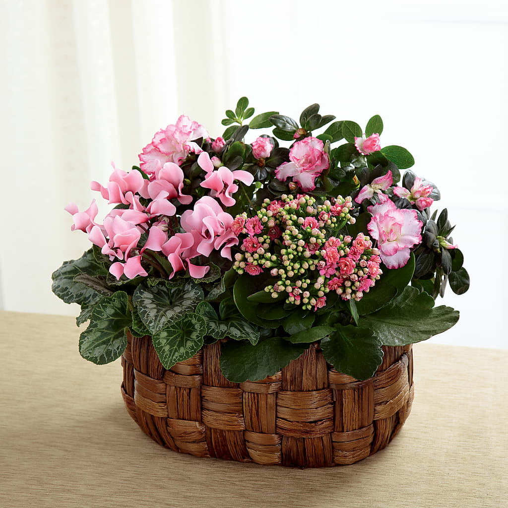 Pink Assortment – Floral Boutique, Lynnfield MA