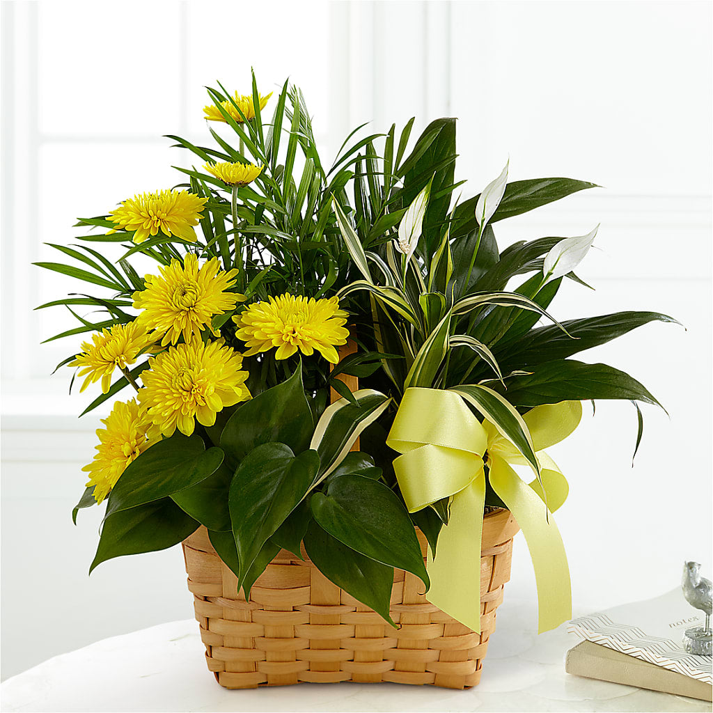 Loving Light Dishgarden – Floral Boutique, Lynnfield MA