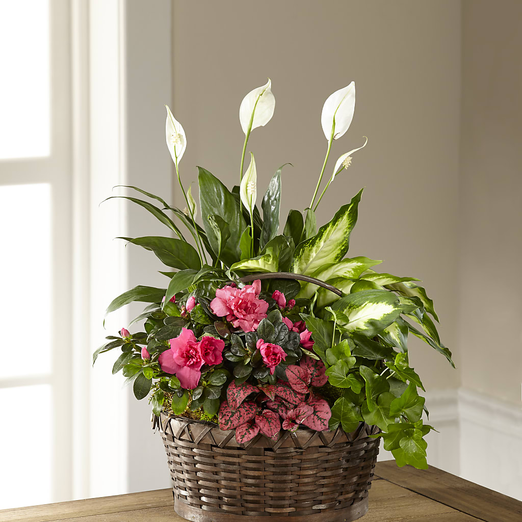 Dream in Pink Dishgarden – Floral Boutique, Lynnfield MA