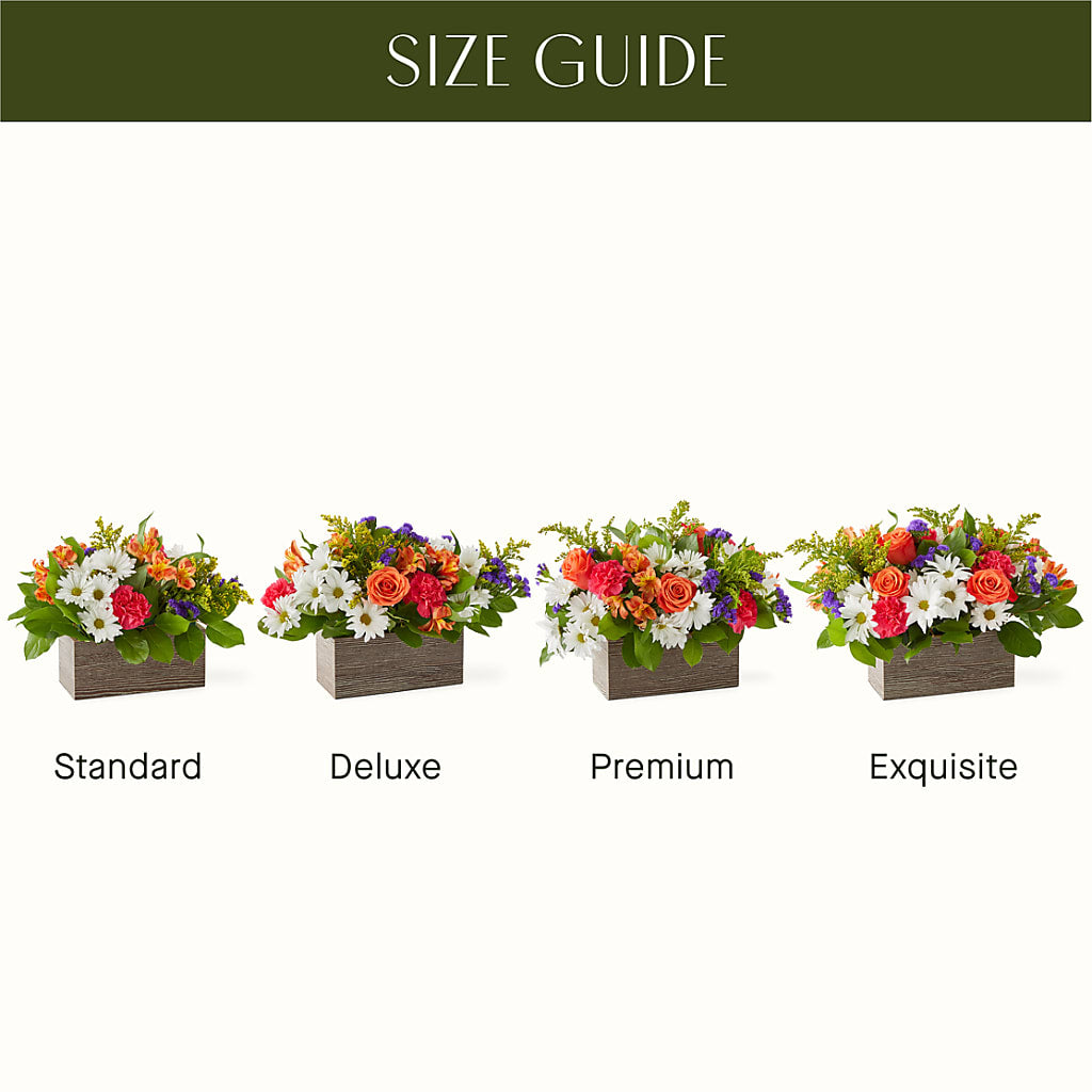 Oopsie Daisy Box Bouquet – Floral Boutique, Lynnfield MA