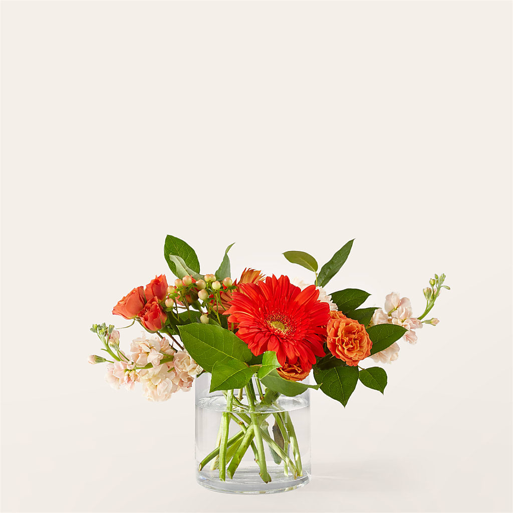 Paloma Please Bouquet – Floral Boutique, Lynnfield MA