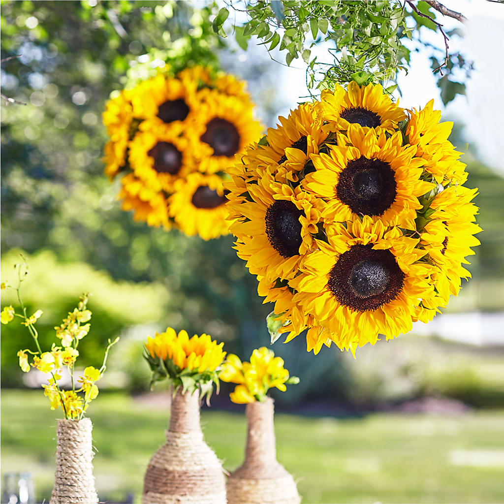 Sublime Garden Hanging Arrangement – Floral Boutique, Lynnfield MA