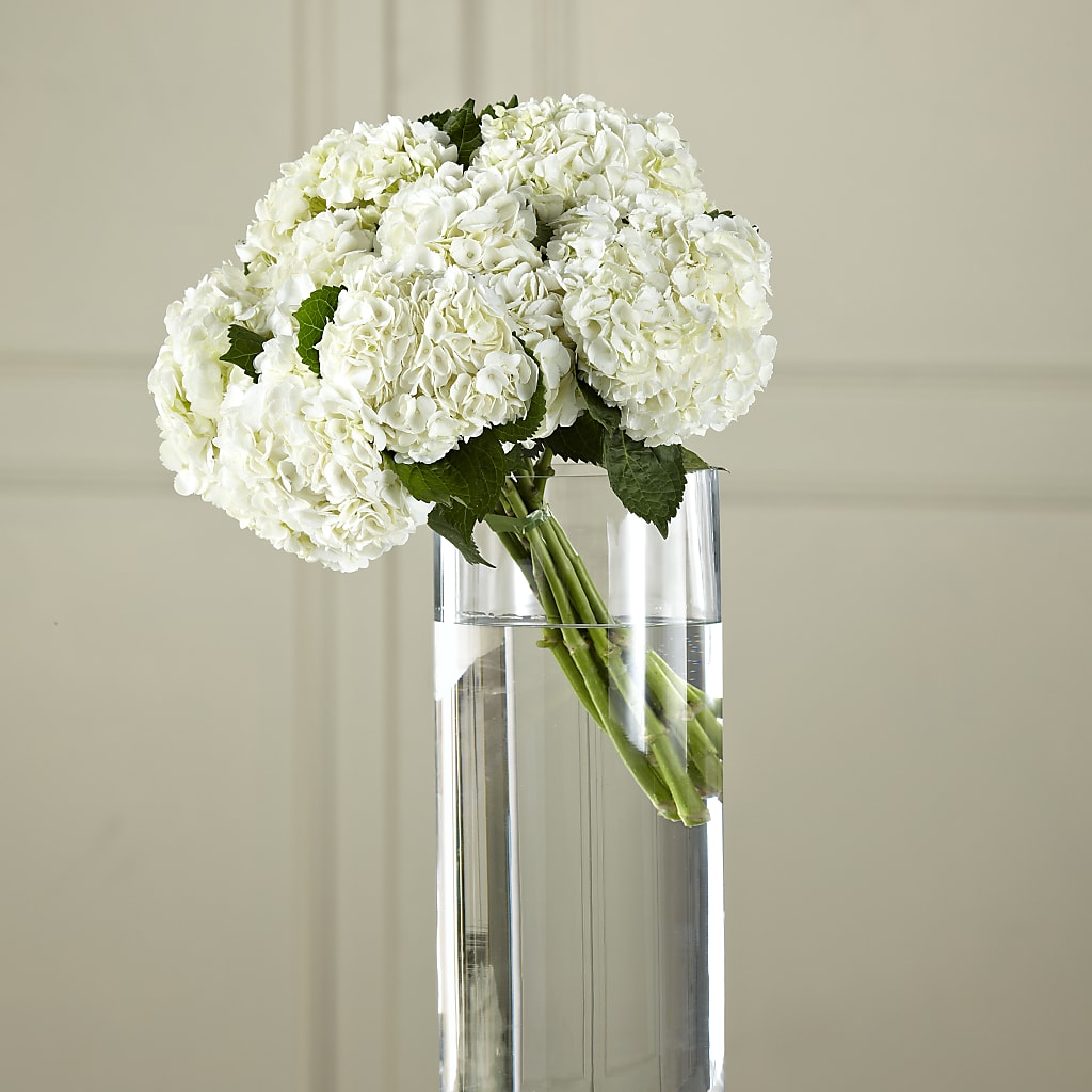 White Hydrangea Hand-Tied Bouquet – Floral Boutique, Lynnfield MA