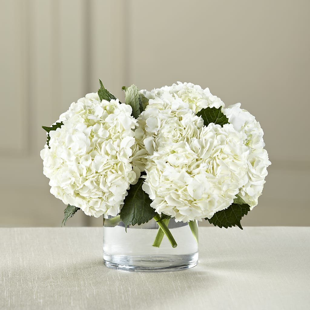 White Hydrangea Bouquet – Floral Boutique, Lynnfield MA