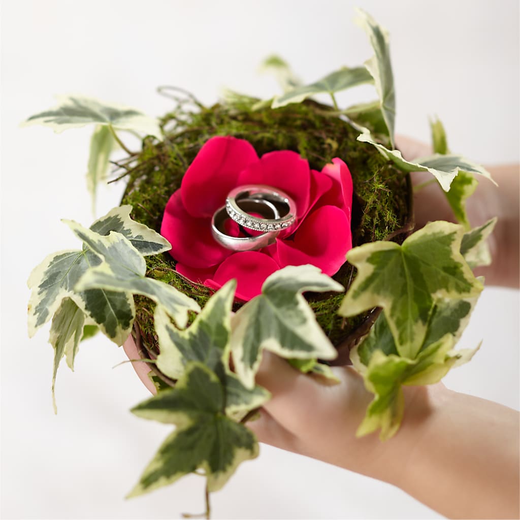 Lila Rose Ring Nest – Floral Boutique, Lynnfield MA