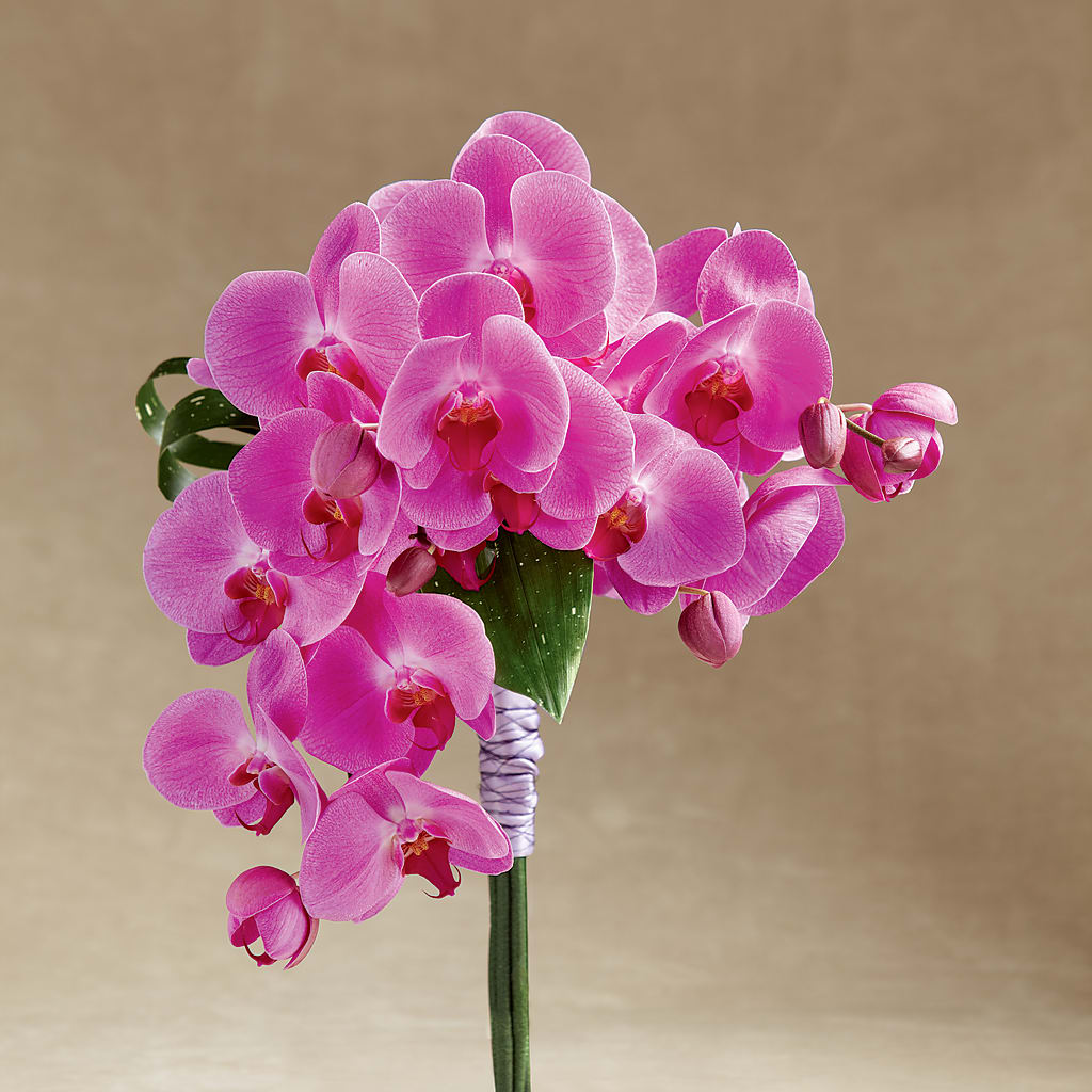Glorious Bouquet – Floral Boutique, Lynnfield MA