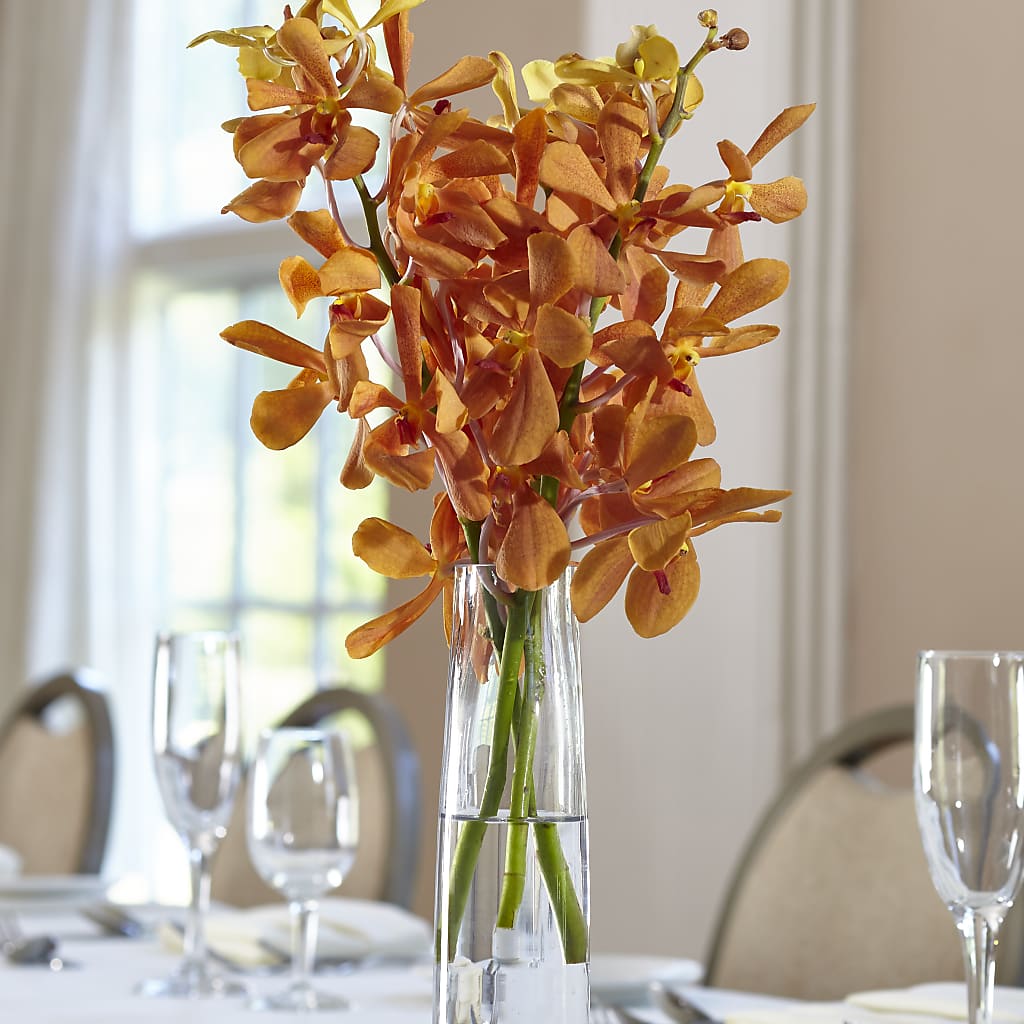 Orange Mokara Bud Vase – Floral Boutique, Lynnfield MA