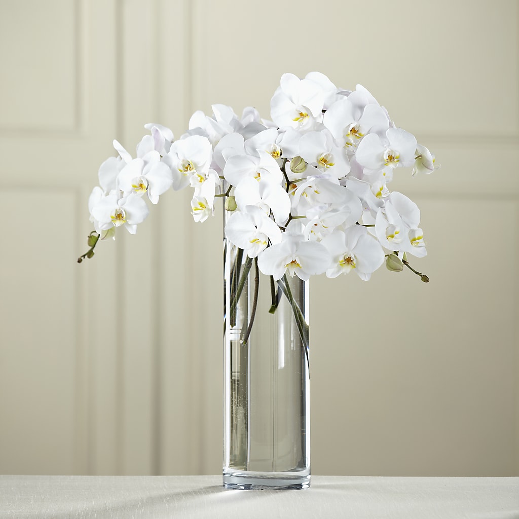 White Phalaenopsis Bouquet – Floral Boutique, Lynnfield MA