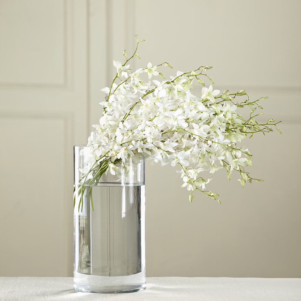 White Dendrobium Bouquet – Floral Boutique, Lynnfield MA
