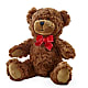 Adorable Plush Bear –  Floral Boutique, Lynnfield MA