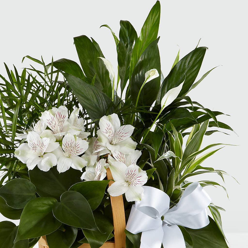 Peace & Serenity Dishgarden –  Floral Boutique, Lynnfield MA