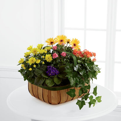 Gentle Blossoms Basket –  Floral Boutique, Lynnfield MA