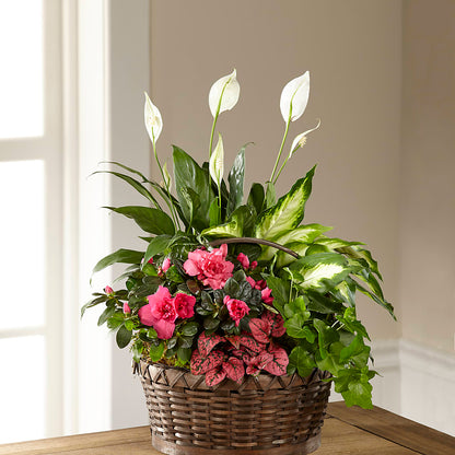 Dream in Pink Dishgarden –  Floral Boutique, Lynnfield MA