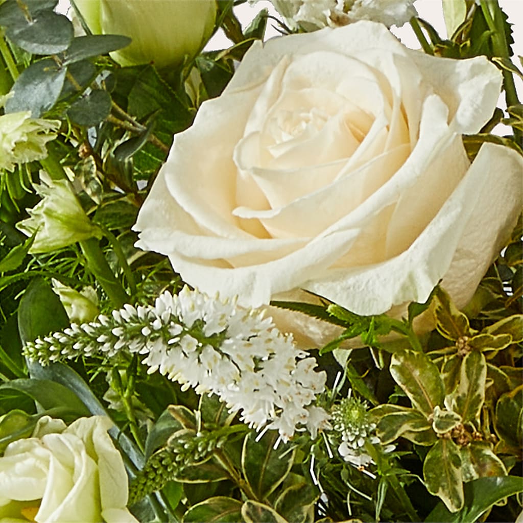 Cashmere Bouquet –  Floral Boutique, Lynnfield MA