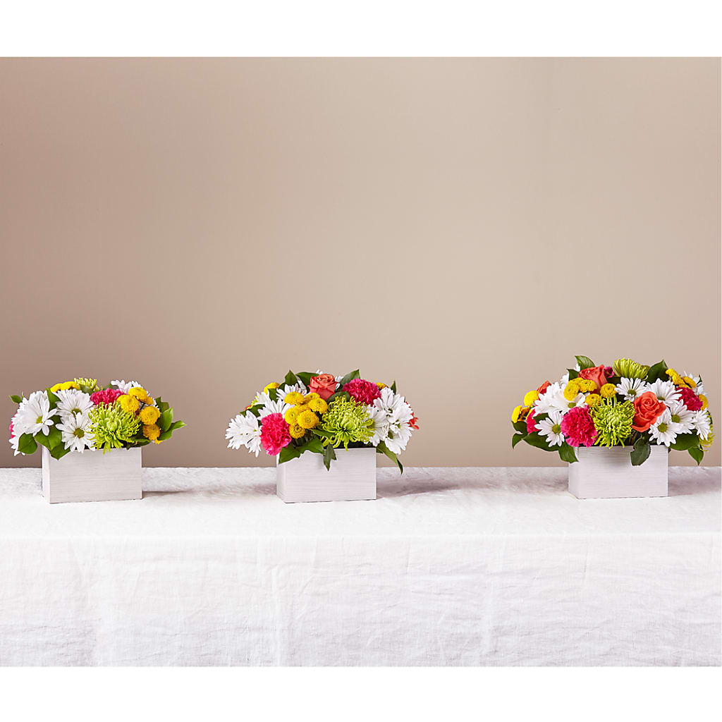 Sorbet Bouquet –  Floral Boutique, Lynnfield MA