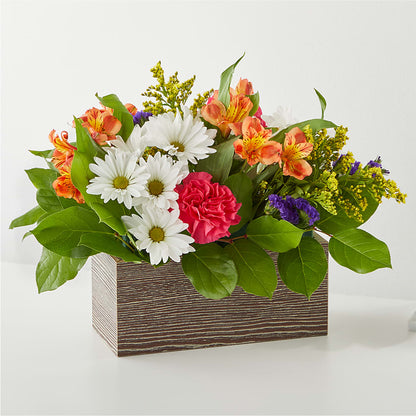 Oopsie Daisy Box Bouquet –  Floral Boutique, Lynnfield MA