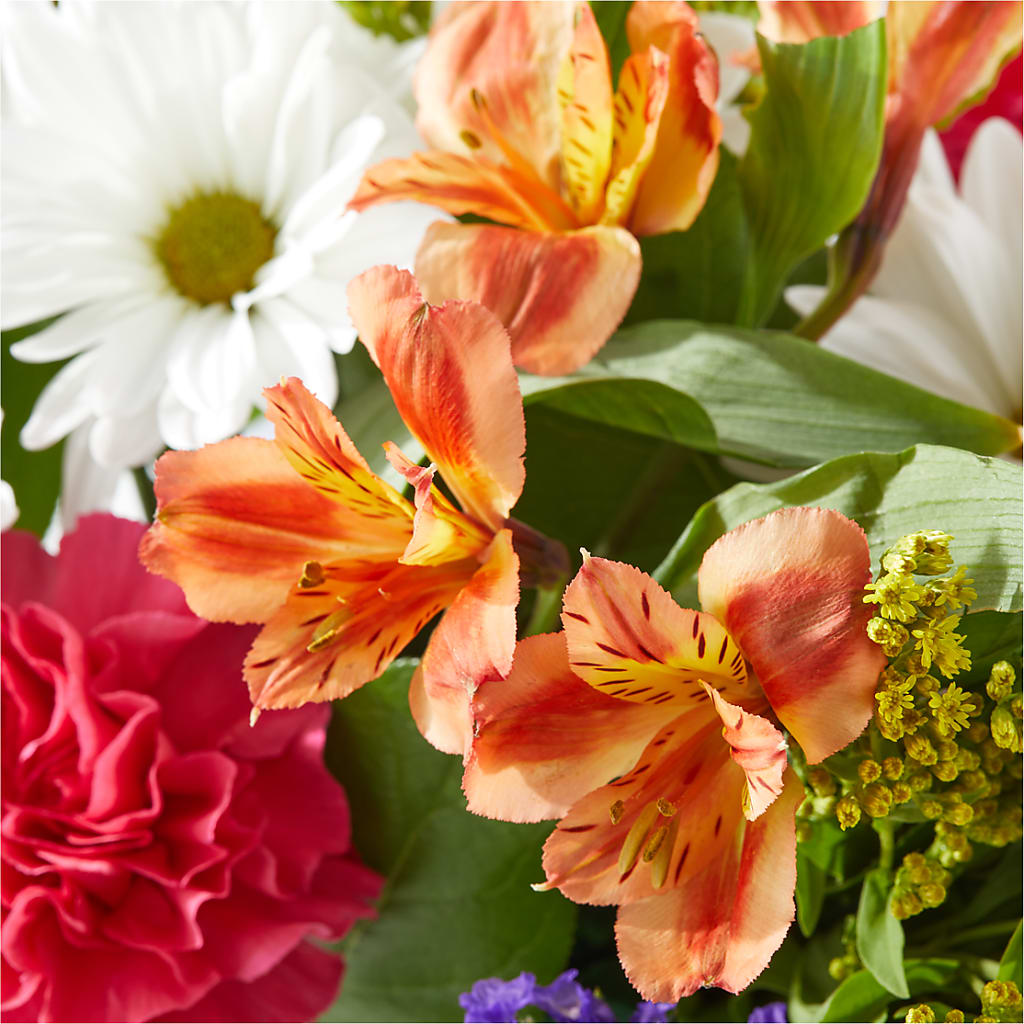 Oopsie Daisy Box Bouquet –  Floral Boutique, Lynnfield MA