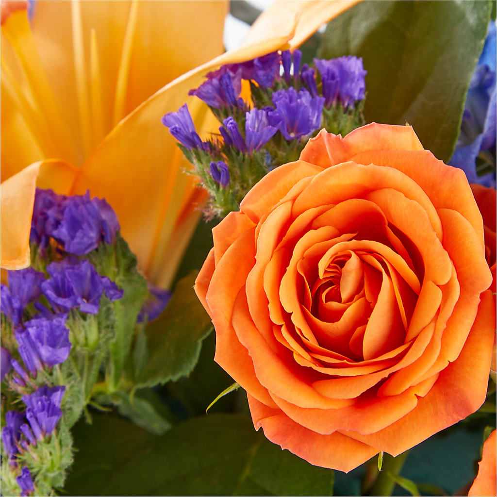 Radiant Citrus Box Bouquet –  Floral Boutique, Lynnfield MA