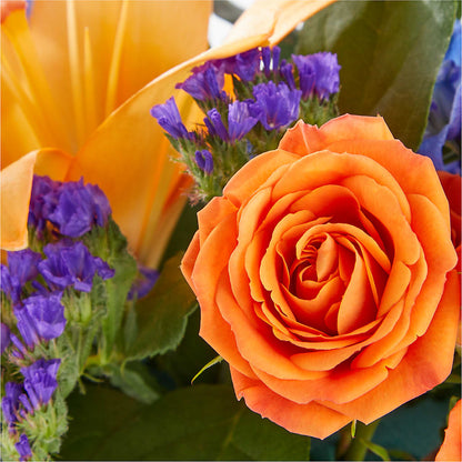 Radiant Citrus Box Bouquet –  Floral Boutique, Lynnfield MA