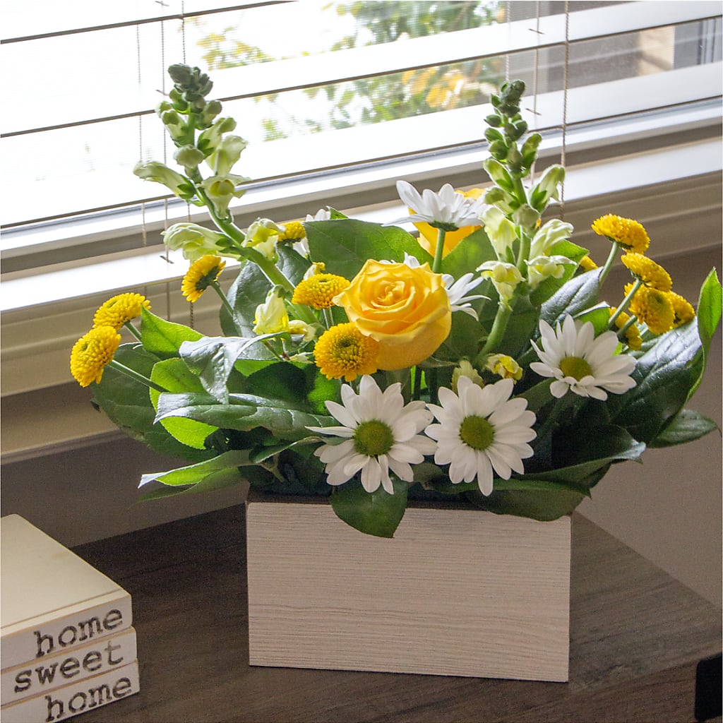 Sun Salutation Box Bouquet –  Floral Boutique, Lynnfield MA