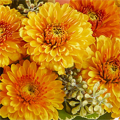 Peachy Pumpkin –  Floral Boutique, Lynnfield MA