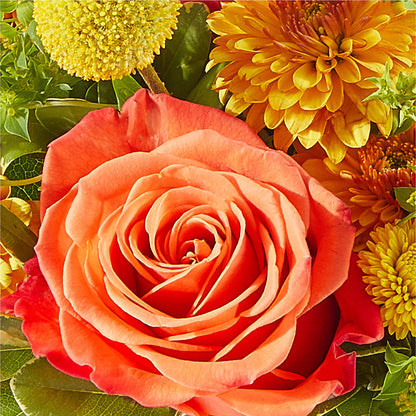 Gourdgeous Pumpkin –  Floral Boutique, Lynnfield MA