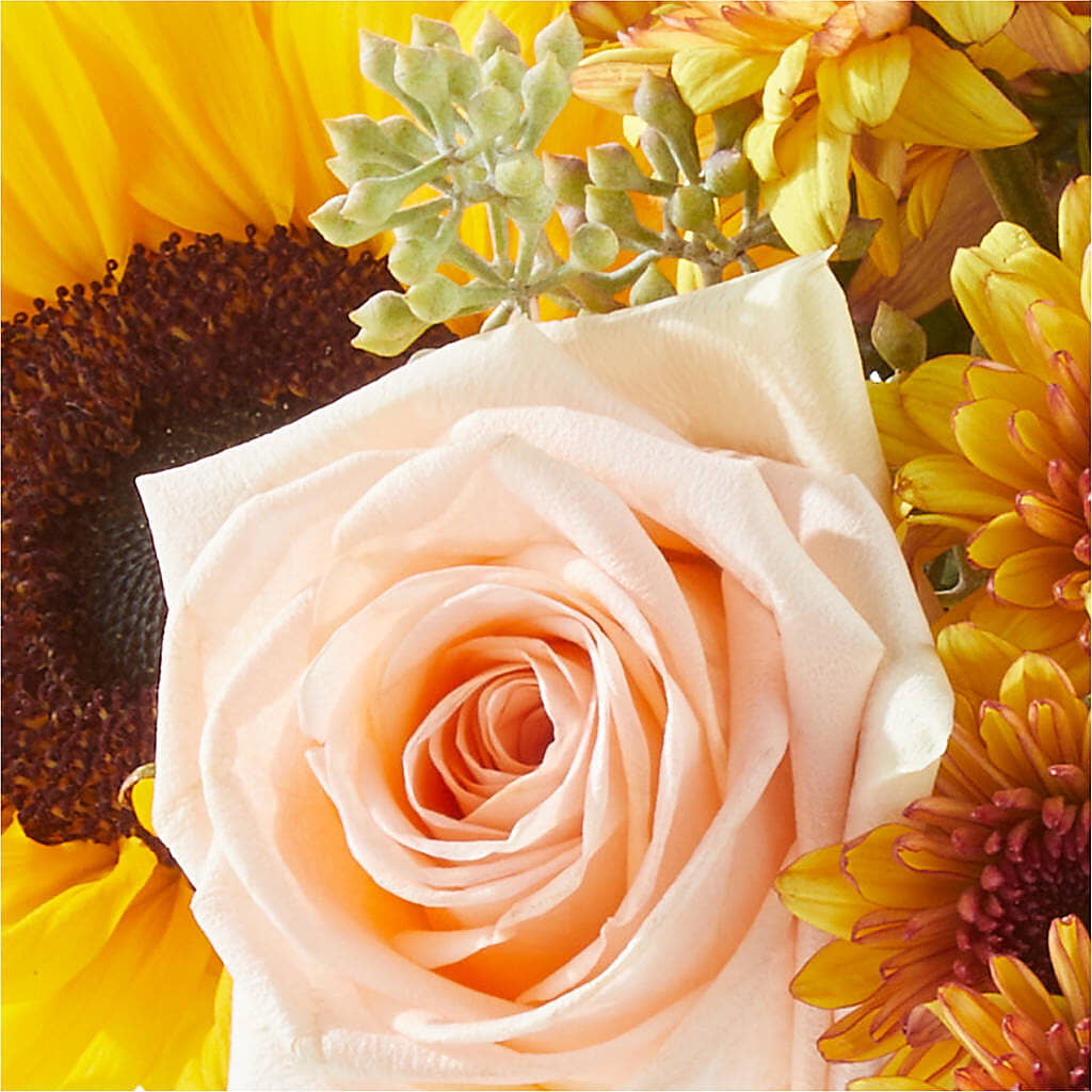 Pumpkin to Talk About Bouquet –  Floral Boutique, Lynnfield MA