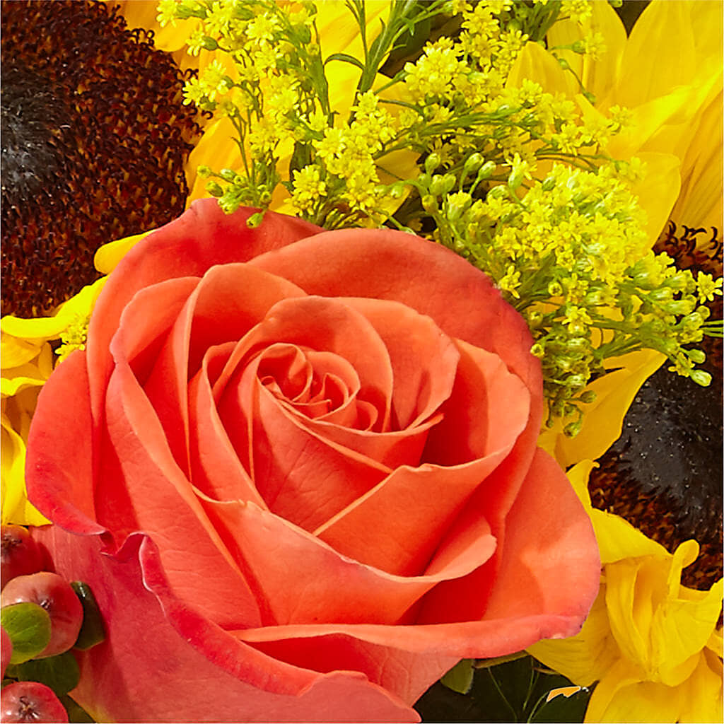 Pick of the Patch Pumpkin Bouquet –  Floral Boutique, Lynnfield MA