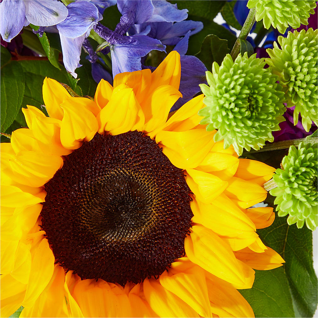 Catching Rays Bouquet –  Floral Boutique, Lynnfield MA