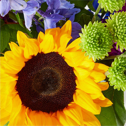 Catching Rays Bouquet –  Floral Boutique, Lynnfield MA