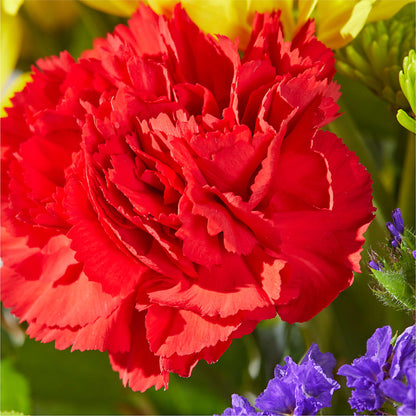 Brighter Days Bouquet –  Floral Boutique, Lynnfield MA