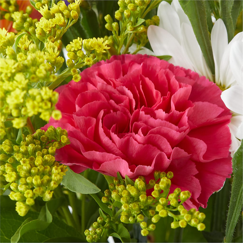 Oopsie Daisy Bouquet –  Floral Boutique, Lynnfield MA