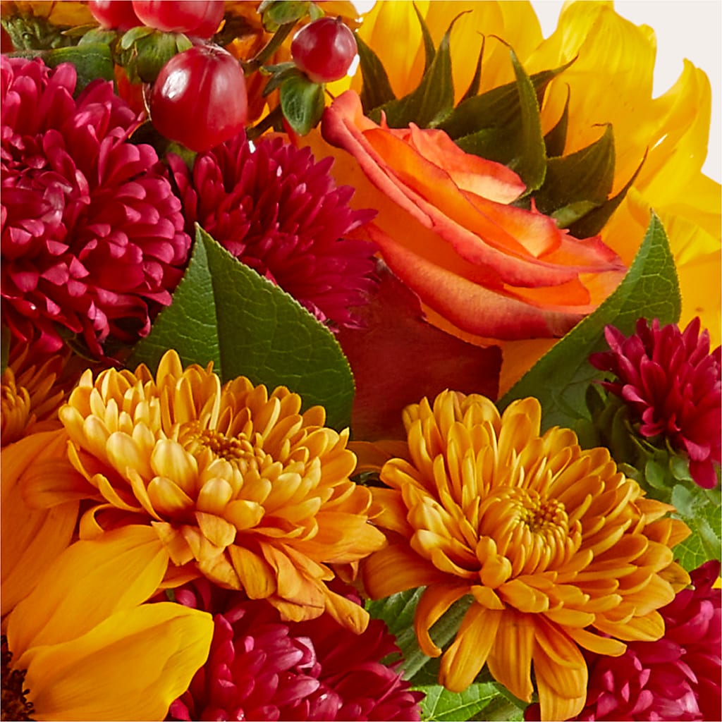 Sweater Season - A Florist Original –  Floral Boutique, Lynnfield MA