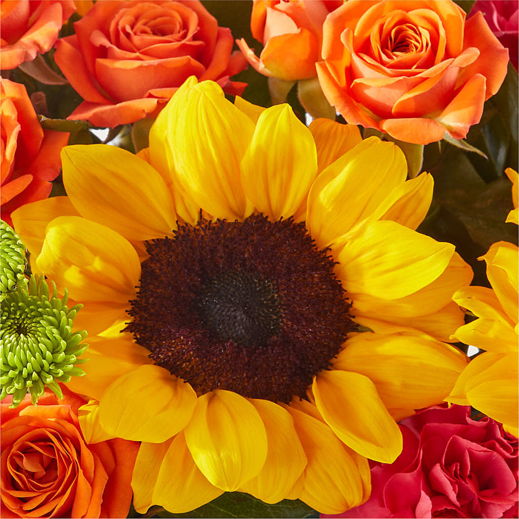 Sun-drenched Blooms Box Bouquet –  Floral Boutique, Lynnfield MA