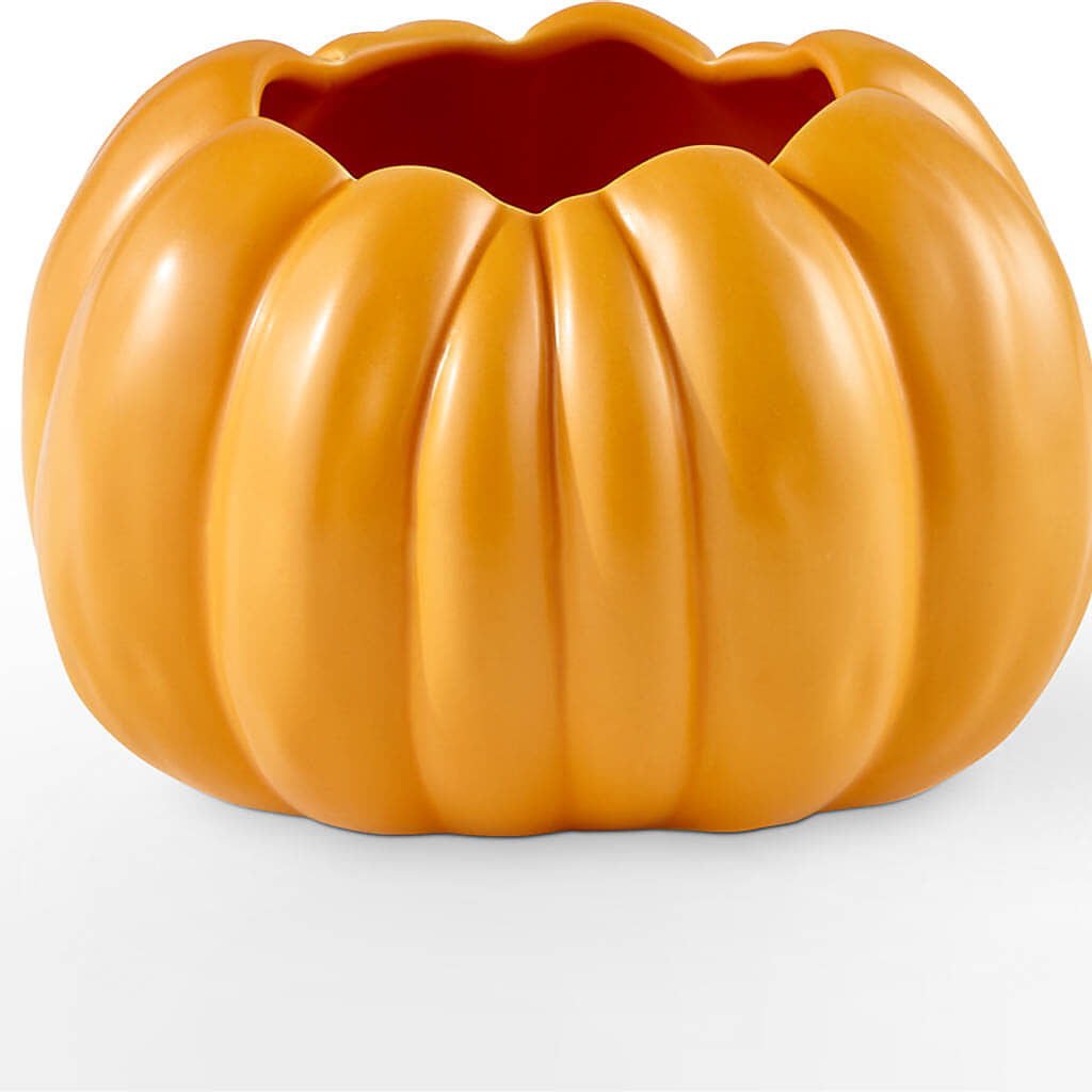 Pick of the Patch Pumpkin Bouquet –  Floral Boutique, Lynnfield MA