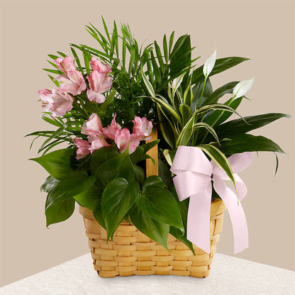 Living Spirit Dishgarden –  Floral Boutique, Lynnfield MA