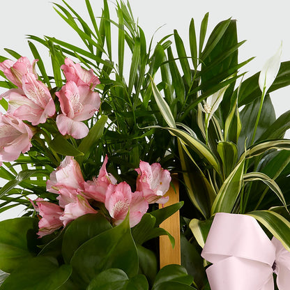 Living Spirit Dishgarden –  Floral Boutique, Lynnfield MA