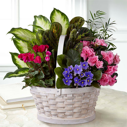 Peaceful Garden Planter –  Floral Boutique, Lynnfield MA
