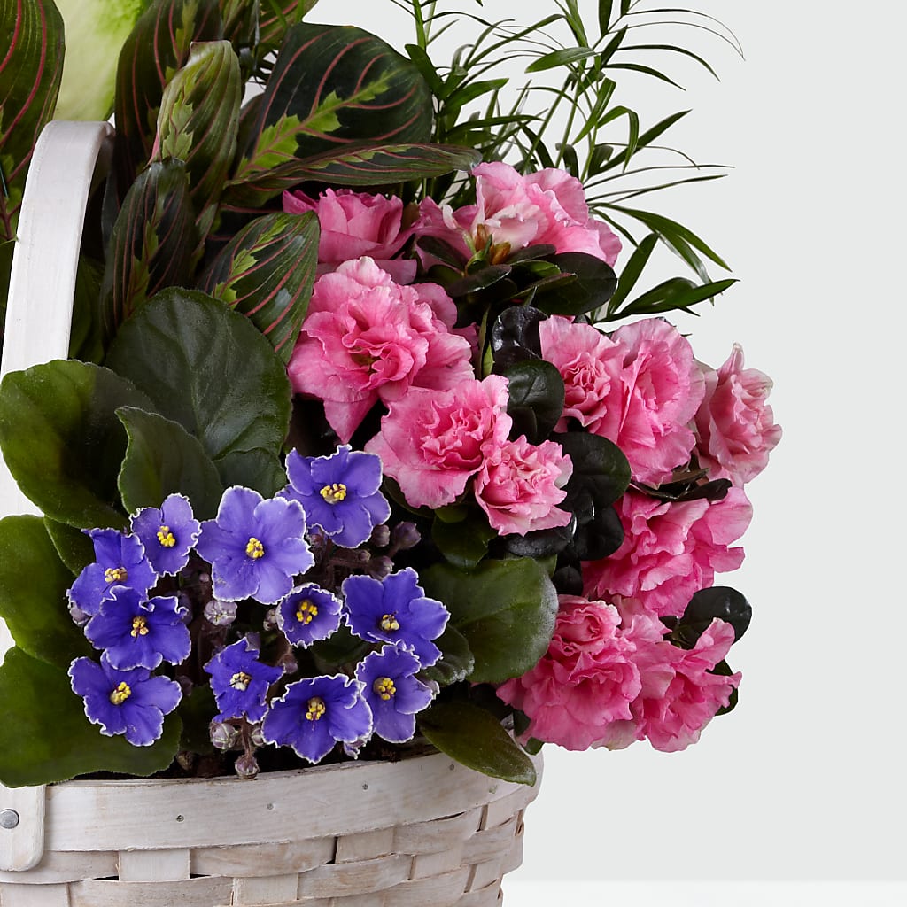 Peaceful Garden Planter –  Floral Boutique, Lynnfield MA
