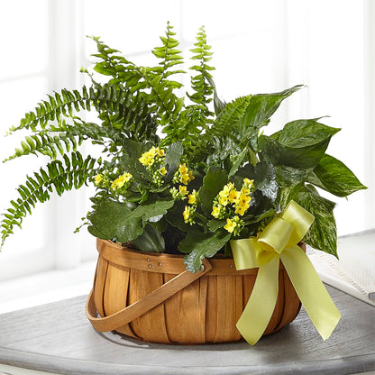 Always Dear Dishgarden –  Floral Boutique, Lynnfield MA