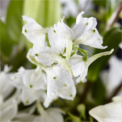 Classic Ivory – A Florist Original –  Floral Boutique, Lynnfield MA