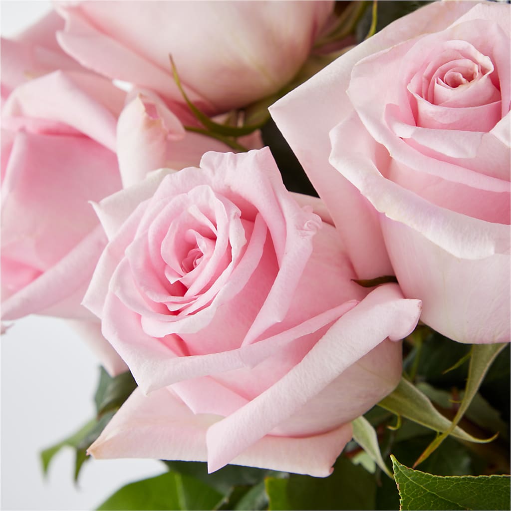 Picture Perfect Pink Rose Bouquet –  Floral Boutique, Lynnfield MA