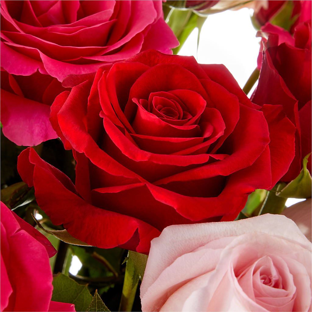 Love Notes Rose Bouquet –  Floral Boutique, Lynnfield MA
