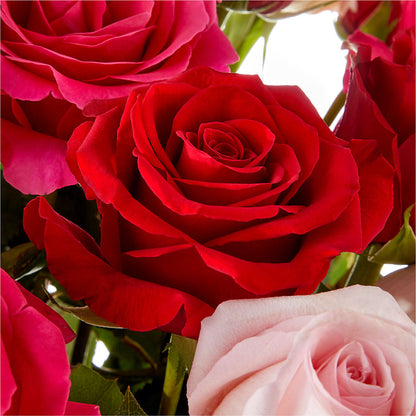 Love Notes Rose Bouquet –  Floral Boutique, Lynnfield MA