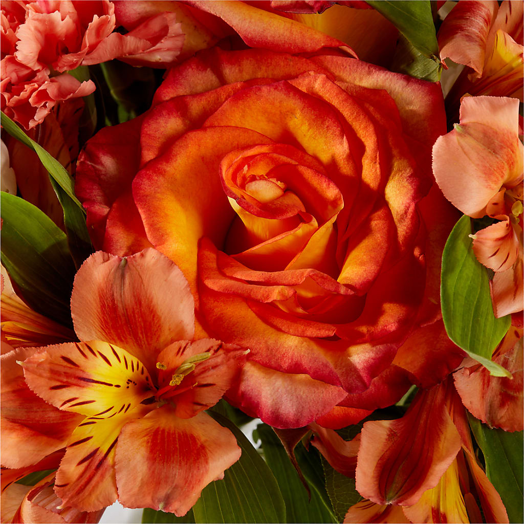 Apricot Glow Bouquet –  Floral Boutique, Lynnfield MA