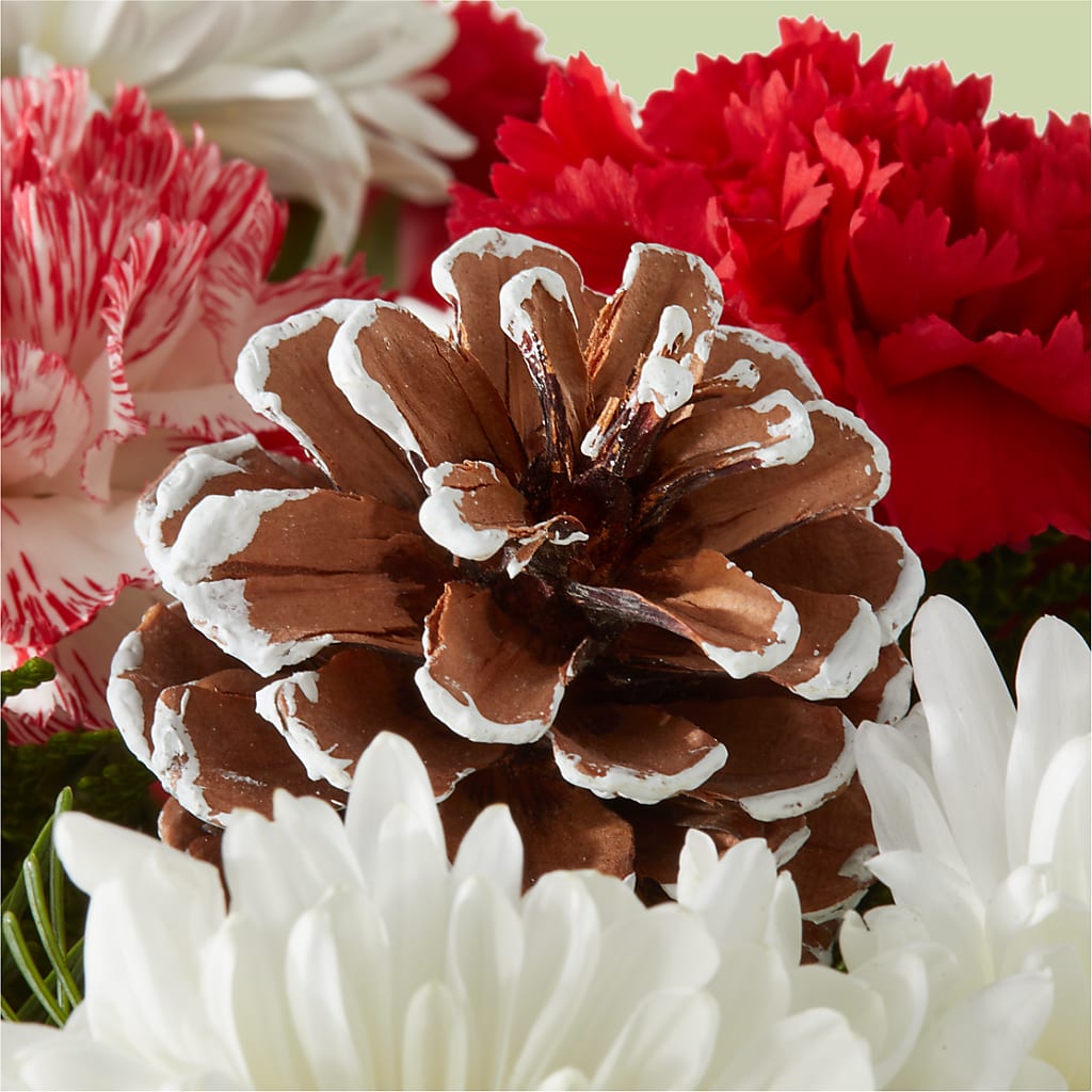 Candy Cane Lane Bouquet –  Floral Boutique, Lynnfield MA