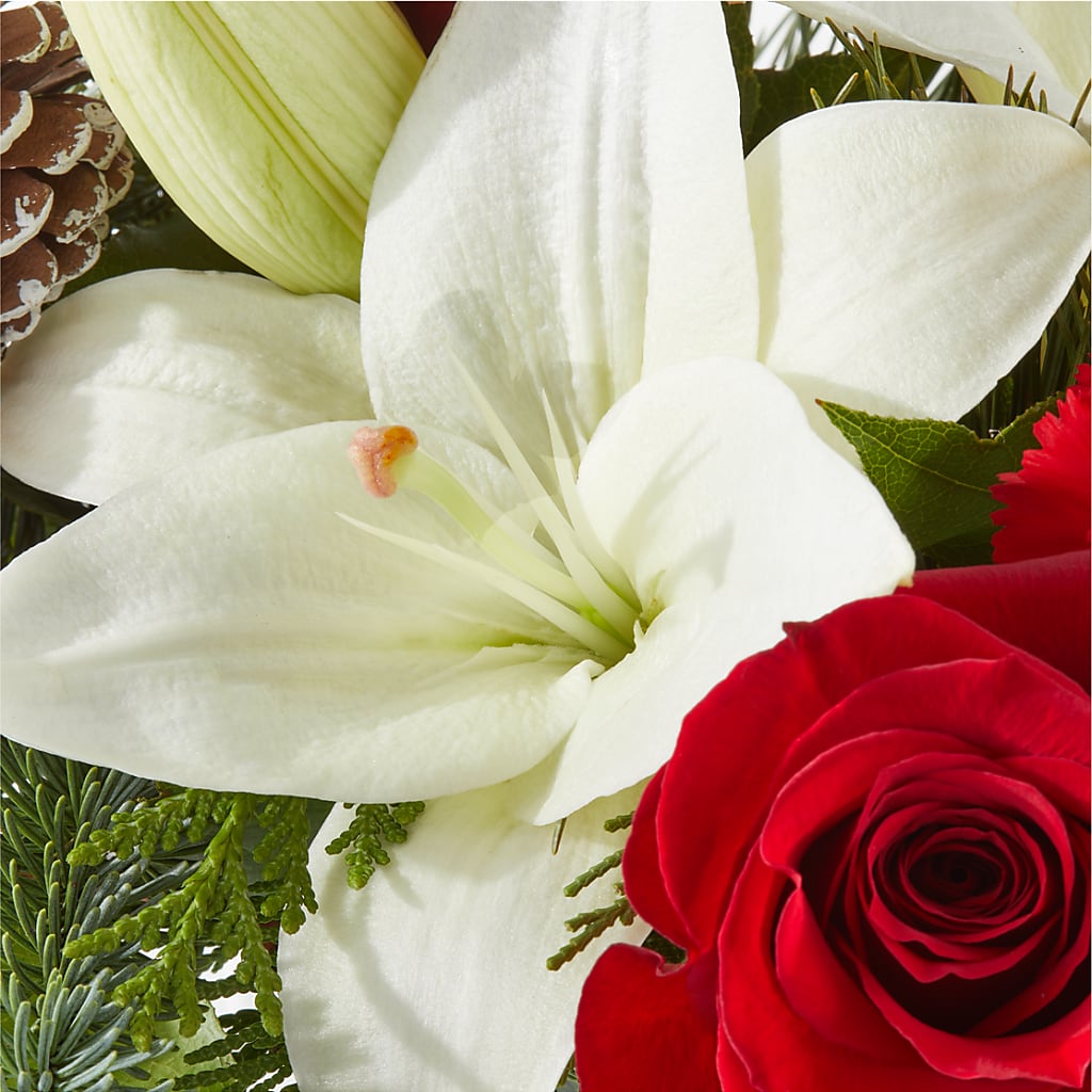 Oh So Jolly Bouquet –  Floral Boutique, Lynnfield MA