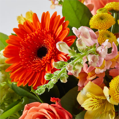 Autumn Sunshine Bouquet –  Floral Boutique, Lynnfield MA